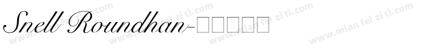 Snell Roundhan字体转换